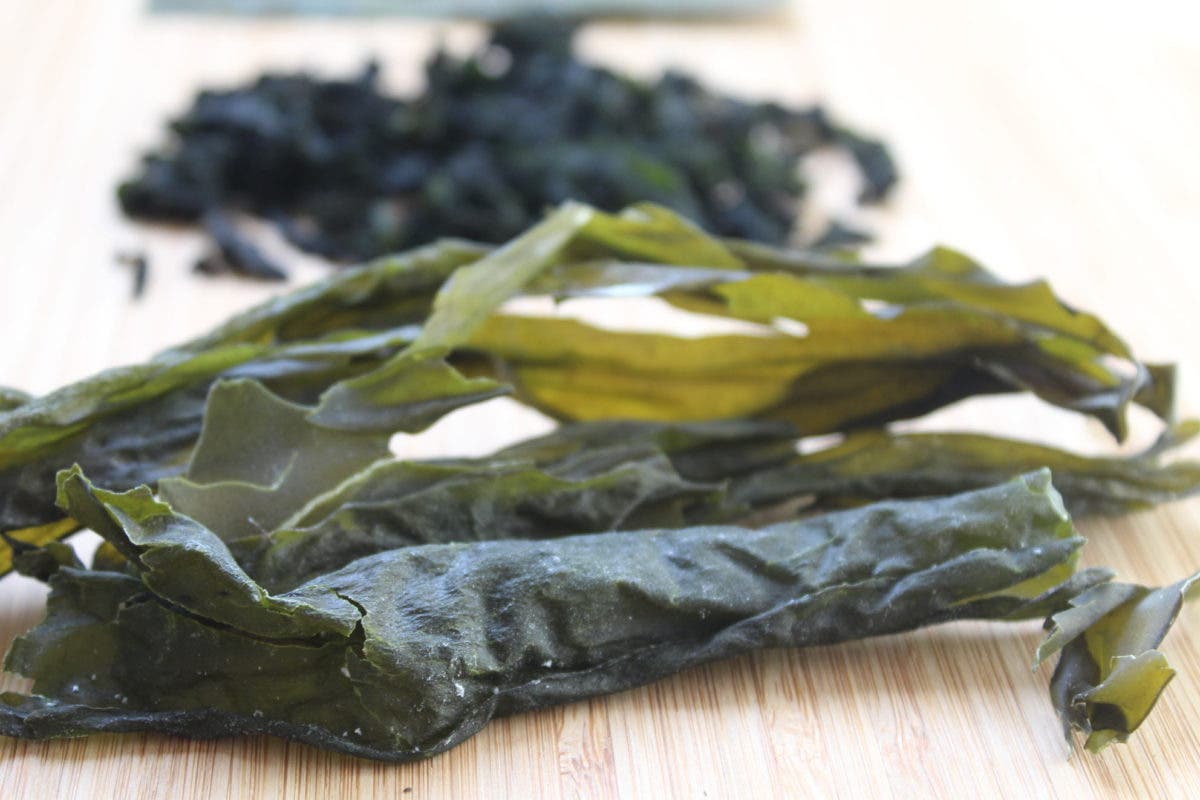 هل تعرف فوائد تناول أعشاب كومبو لجسمك؟