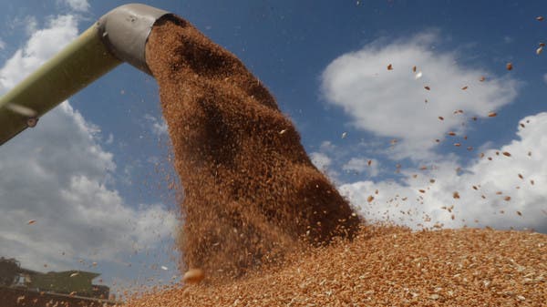 على الرغم من الأزمة الأوكرانية ، زادت واردات مصر من القمح بنسبة 79٪ في أغسطس