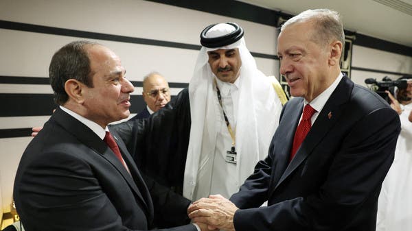 أردوغان: نريد إجراء محادثات على مستوى أعلى مع مصر