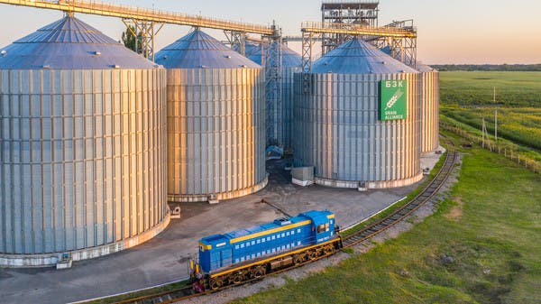 مصر تشتري 60 ألف طن من الذرة الصفراء الأوكرانية
