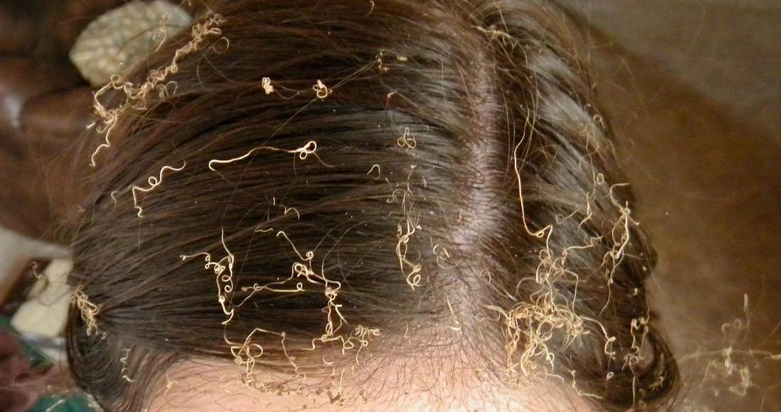 علاج الشعر المحروق من سحب اللون