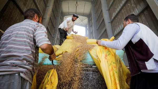 احتياطي مصر الاستراتيجي من القمح يكفي لمدة 2.3 شهر