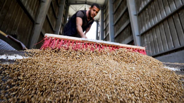 مصر تطرح ممارسة دولية لشراء القمح
